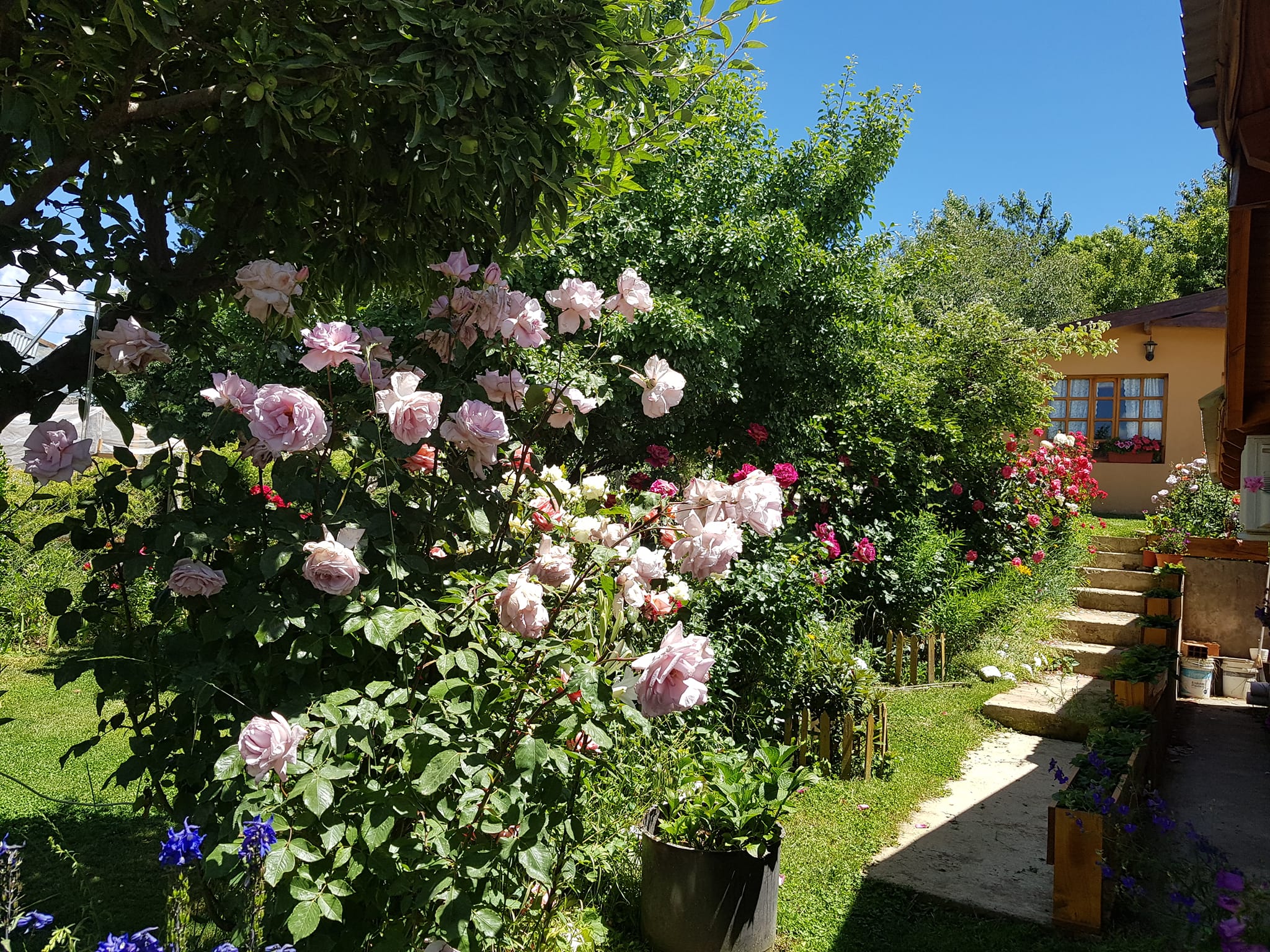Interior cálido